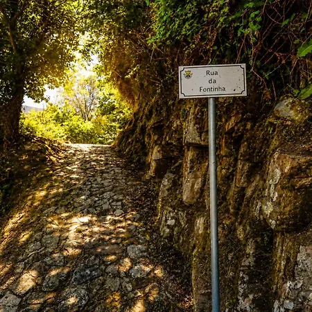 Peaceful In Rio De Frades, Arouca - Pet-friendly Casa vacanze Rio de Frades