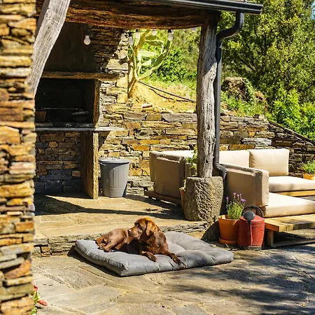 Peaceful In Rio De Frades, Arouca - Pet-friendly